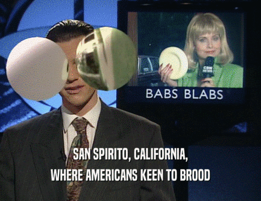 SAN SPIRITO, CALIFORNIA,
 WHERE AMERICANS KEEN TO BROOD
 