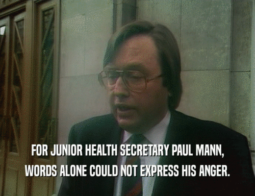FOR JUNIOR HEALTH SECRETARY PAUL MANN,
 WORDS ALONE COULD NOT EXPRESS HIS ANGER.
 