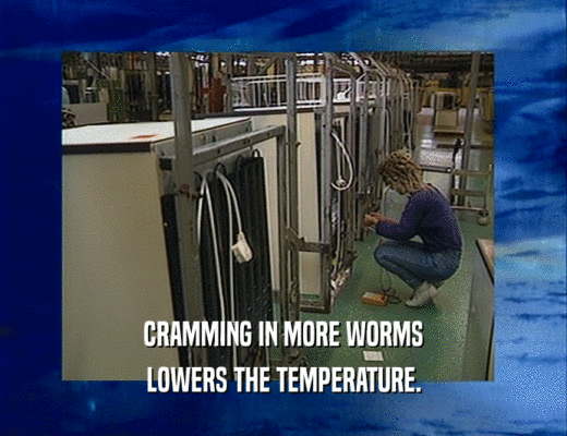 CRAMMING IN MORE WORMS
 LOWERS THE TEMPERATURE.
 