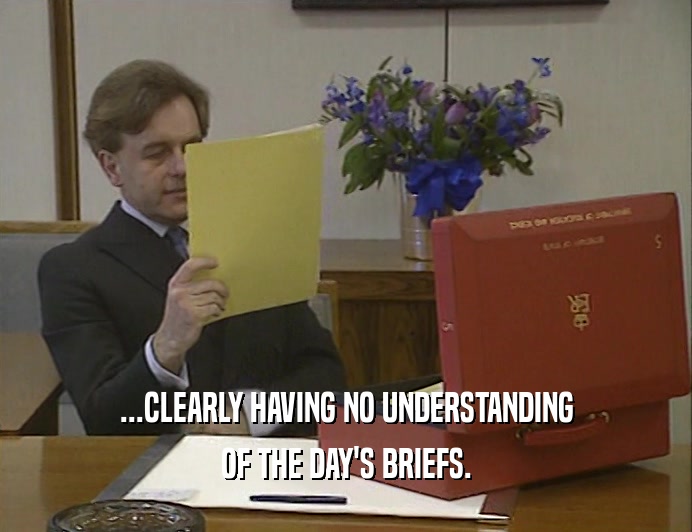 ...CLEARLY HAVING NO UNDERSTANDING OF THE DAY'S BRIEFS. 