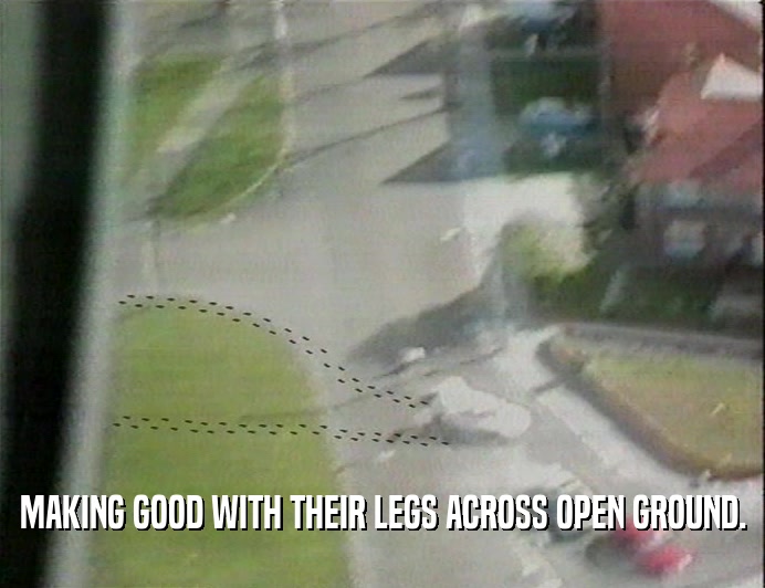 MAKING GOOD WITH THEIR LEGS ACROSS OPEN GROUND.  