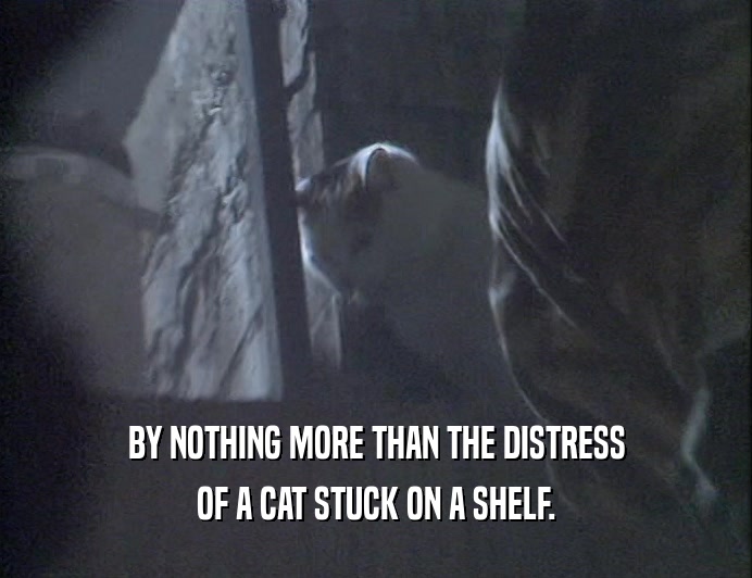 BY NOTHING MORE THAN THE DISTRESS OF A CAT STUCK ON A SHELF. 