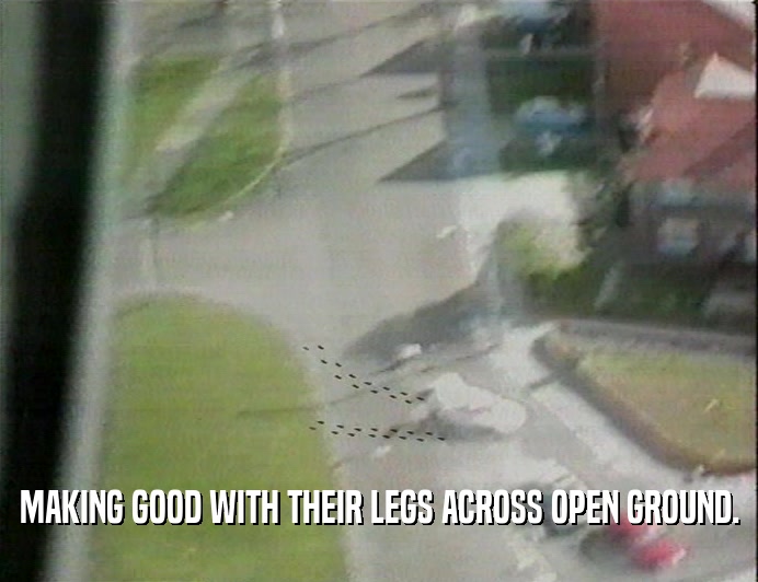 MAKING GOOD WITH THEIR LEGS ACROSS OPEN GROUND.
  