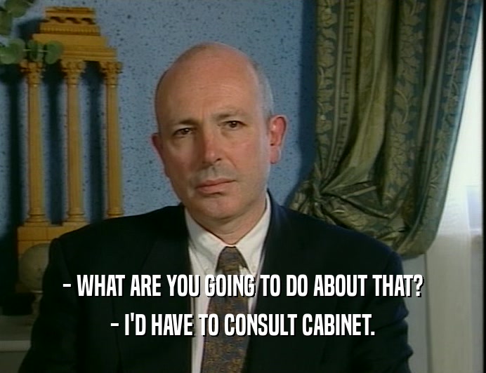 - WHAT ARE YOU GOING TO DO ABOUT THAT? - I'D HAVE TO CONSULT CABINET. 