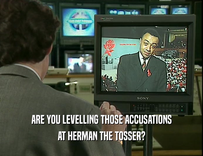 ARE YOU LEVELLING THOSE ACCUSATIONS
 AT HERMAN THE TOSSER?
 