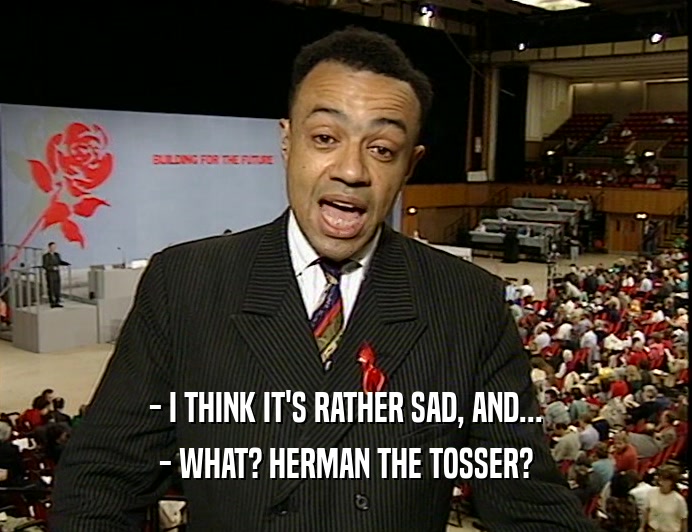 - I THINK IT'S RATHER SAD, AND...
 - WHAT? HERMAN THE TOSSER?
 