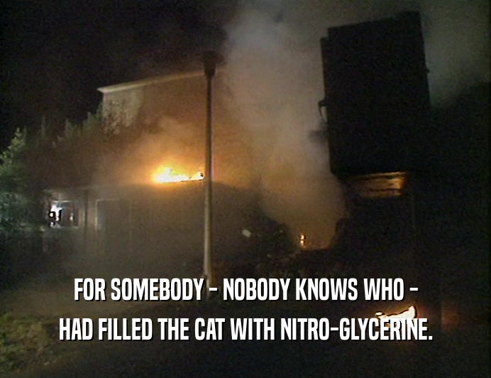 FOR SOMEBODY - NOBODY KNOWS WHO -
 HAD FILLED THE CAT WITH NITRO-GLYCERINE.
 