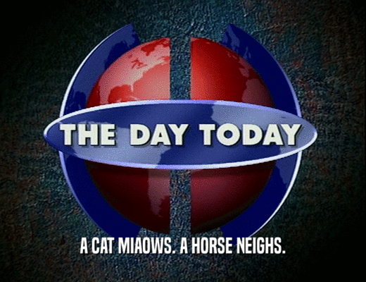 A CAT MIAOWS. A HORSE NEIGHS.
  