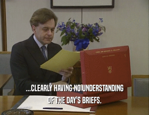 ...CLEARLY HAVING NO UNDERSTANDING OF THE DAY'S BRIEFS. 