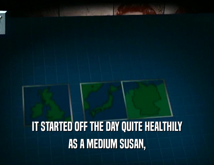 IT STARTED OFF THE DAY QUITE HEALTHILY AS A MEDIUM SUSAN, 
