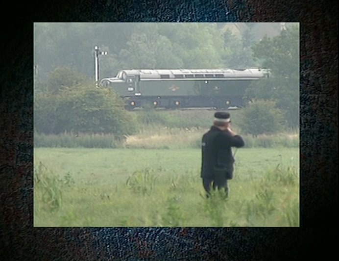 A POLICE MARKSMAN SHOT THE BIRD OUT OF THE SIGNAL AT 7PM, 