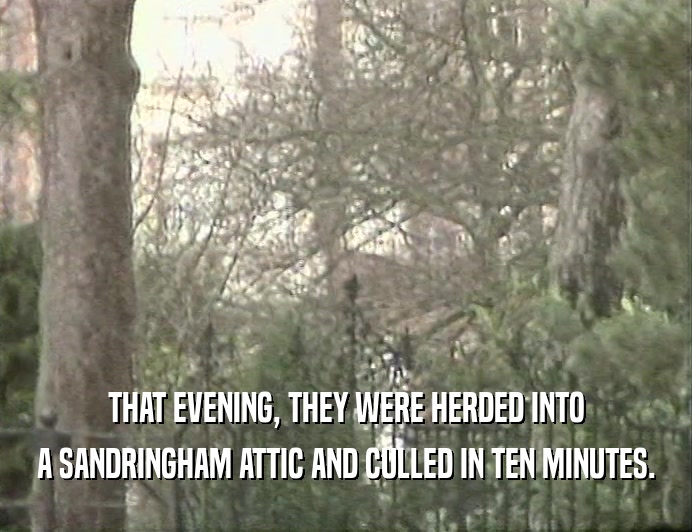 THAT EVENING, THEY WERE HERDED INTO A SANDRINGHAM ATTIC AND CULLED IN TEN MINUTES. 