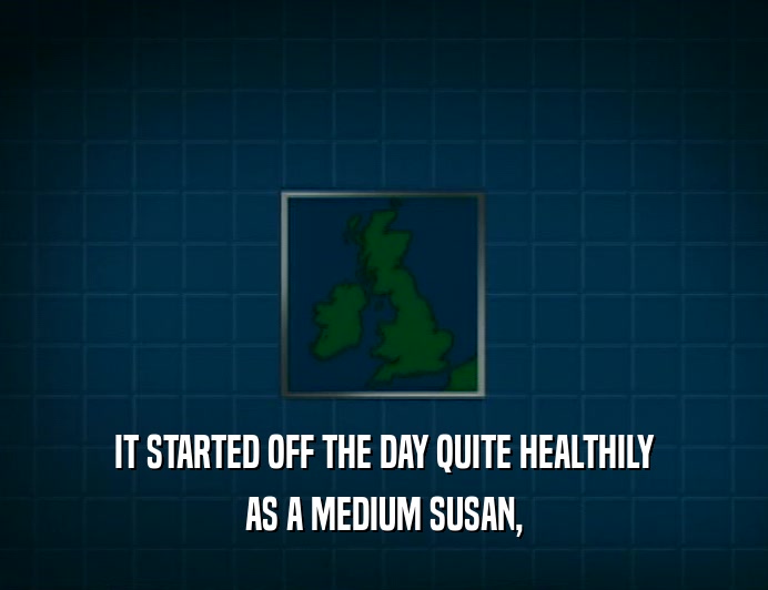 IT STARTED OFF THE DAY QUITE HEALTHILY AS A MEDIUM SUSAN, 