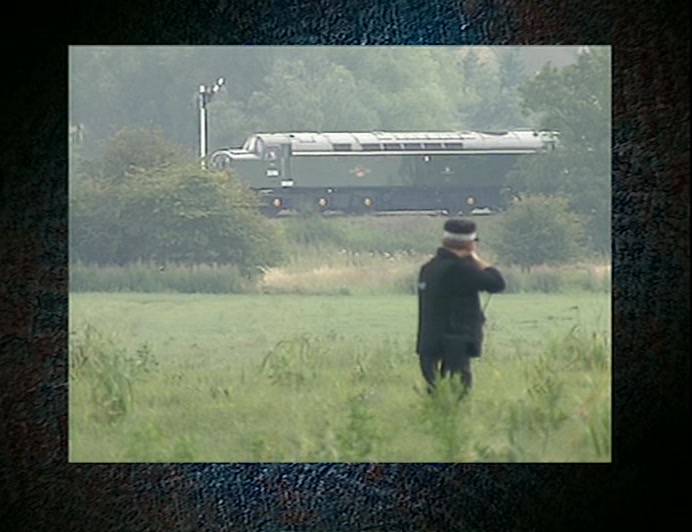 A POLICE MARKSMAN SHOT THE BIRD OUT OF THE SIGNAL AT 7PM, 