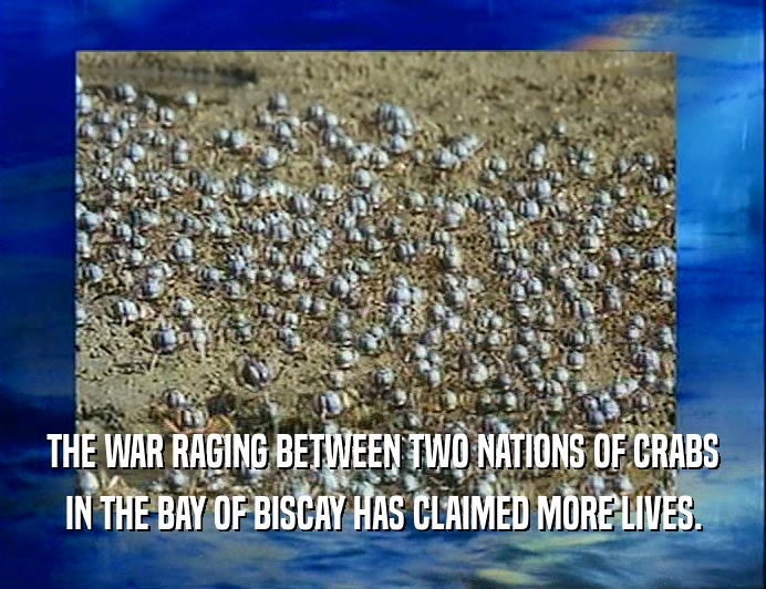 THE WAR RAGING BETWEEN TWO NATIONS OF CRABS
 IN THE BAY OF BISCAY HAS CLAIMED MORE LIVES.
 