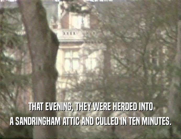 THAT EVENING, THEY WERE HERDED INTO A SANDRINGHAM ATTIC AND CULLED IN TEN MINUTES. 