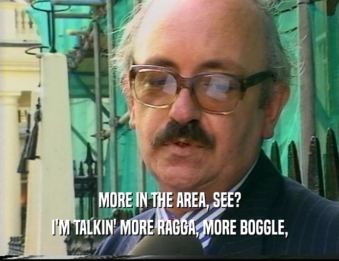 MORE IN THE AREA, SEE? I'M TALKIN' MORE RAGGA, MORE BOGGLE, 