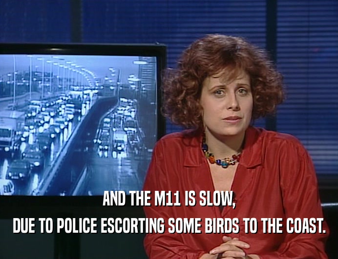 AND THE M11 IS SLOW,
 DUE TO POLICE ESCORTING SOME BIRDS TO THE COAST.
 