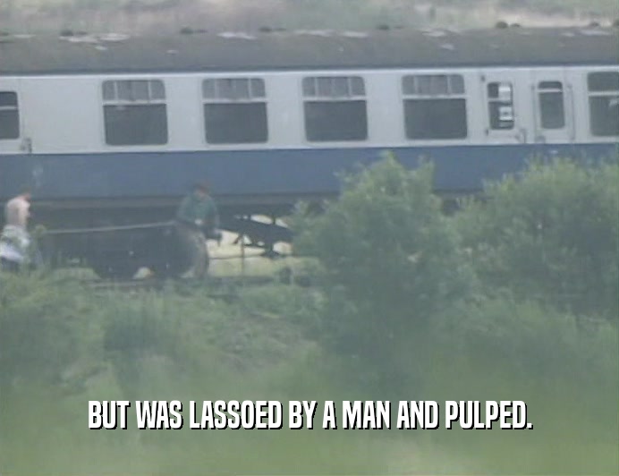 BUT WAS LASSOED BY A MAN AND PULPED.  