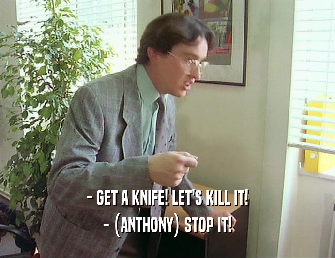 - GET A KNIFE! LET'S KILL IT! - (ANTHONY) STOP IT! 
