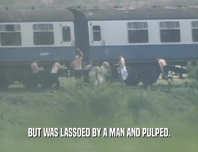 BUT WAS LASSOED BY A MAN AND PULPED.  