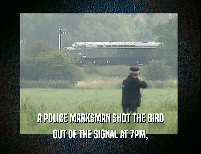 A POLICE MARKSMAN SHOT THE BIRD OUT OF THE SIGNAL AT 7PM, 