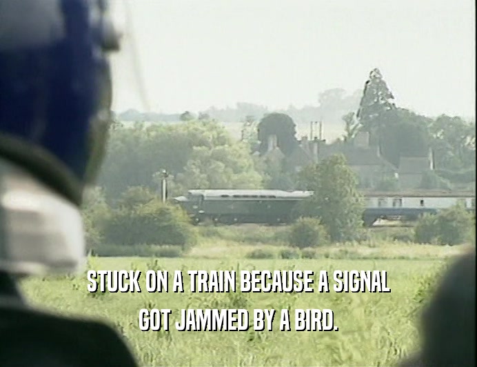 STUCK ON A TRAIN BECAUSE A SIGNAL
 GOT JAMMED BY A BIRD.
 