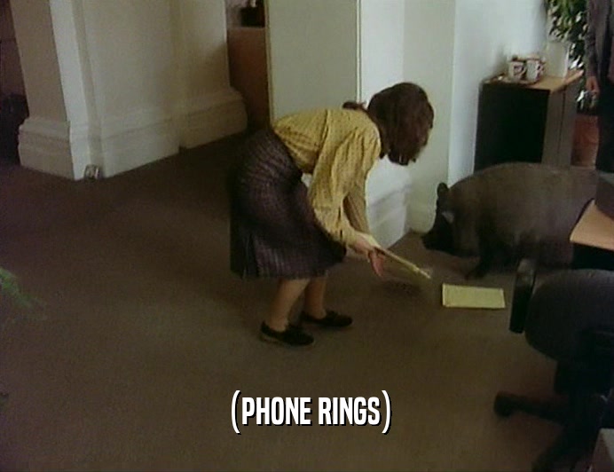 (PHONE RINGS)  