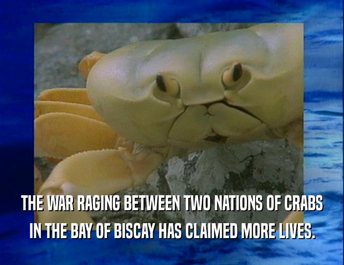 THE WAR RAGING BETWEEN TWO NATIONS OF CRABS
 IN THE BAY OF BISCAY HAS CLAIMED MORE LIVES.
 
