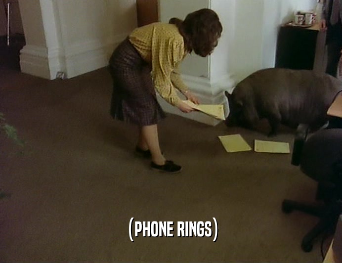 (PHONE RINGS)  