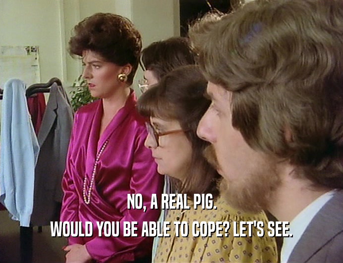 NO, A REAL PIG. WOULD YOU BE ABLE TO COPE? LET'S SEE. 