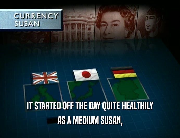 IT STARTED OFF THE DAY QUITE HEALTHILY AS A MEDIUM SUSAN, 