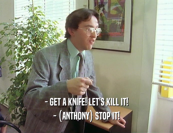 - GET A KNIFE! LET'S KILL IT! - (ANTHONY) STOP IT! 
