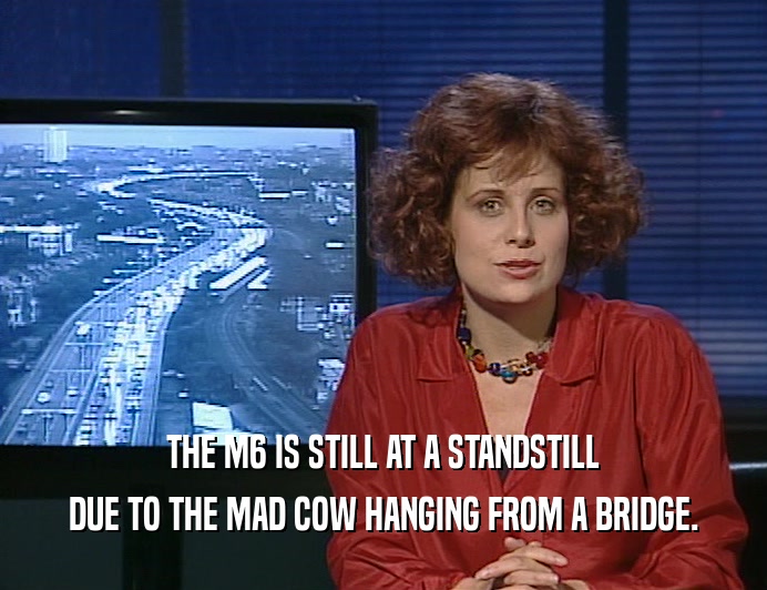 THE M6 IS STILL AT A STANDSTILL
 DUE TO THE MAD COW HANGING FROM A BRIDGE.
 