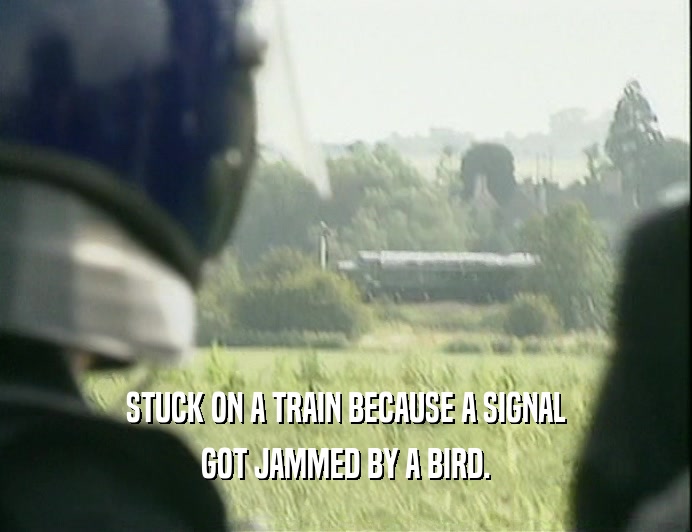 STUCK ON A TRAIN BECAUSE A SIGNAL
 GOT JAMMED BY A BIRD.
 