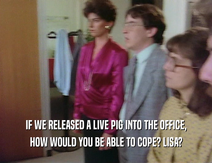 IF WE RELEASED A LIVE PIG INTO THE OFFICE,
 HOW WOULD YOU BE ABLE TO COPE? LISA?
 