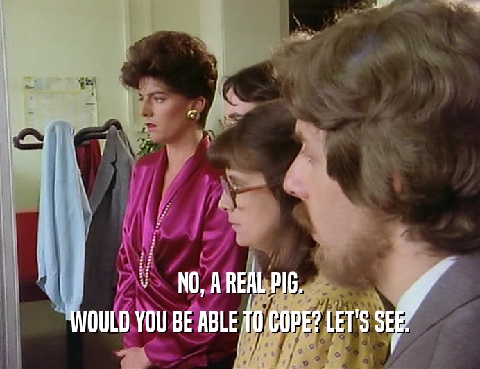 NO, A REAL PIG. WOULD YOU BE ABLE TO COPE? LET'S SEE. 