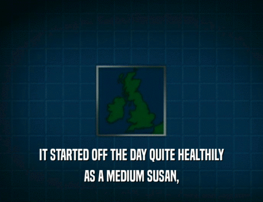 IT STARTED OFF THE DAY QUITE HEALTHILY AS A MEDIUM SUSAN, 