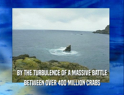 BY THE TURBULENCE OF A MASSIVE BATTLE
 BETWEEN OVER 400 MILLION CRABS
 