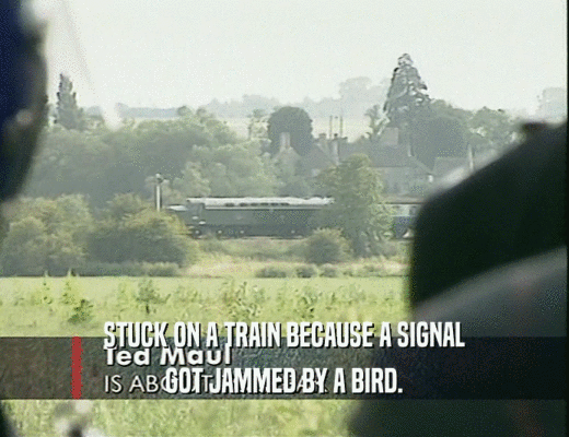 STUCK ON A TRAIN BECAUSE A SIGNAL GOT JAMMED BY A BIRD. 
