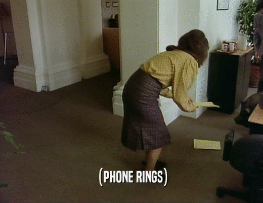 (PHONE RINGS)  