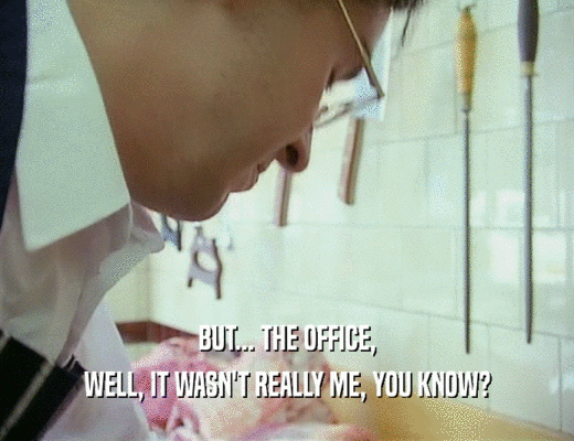 BUT... THE OFFICE,
 WELL, IT WASN'T REALLY ME, YOU KNOW?
 