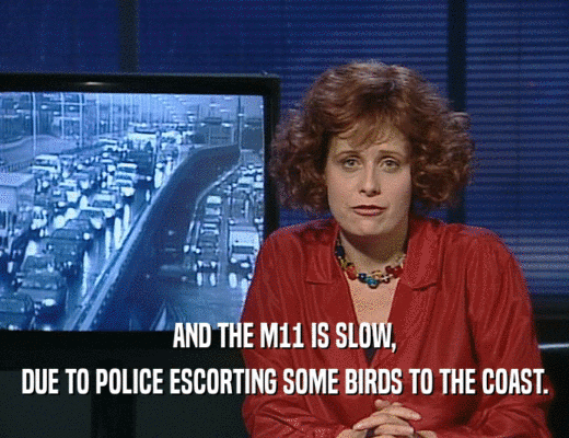AND THE M11 IS SLOW, DUE TO POLICE ESCORTING SOME BIRDS TO THE COAST. 