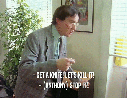- GET A KNIFE! LET'S KILL IT! - (ANTHONY) STOP IT! 
