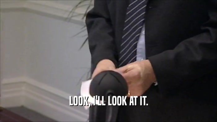 LOOK, I'LL LOOK AT IT.  
