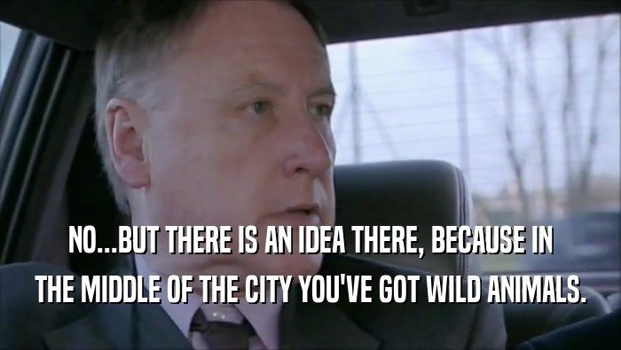 NO...BUT THERE IS AN IDEA THERE, BECAUSE IN THE MIDDLE OF THE CITY YOU'VE GOT WILD ANIMALS. 