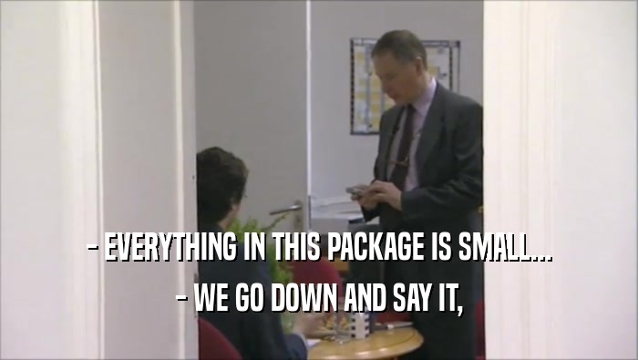 - EVERYTHING IN THIS PACKAGE IS SMALL... - WE GO DOWN AND SAY IT, 