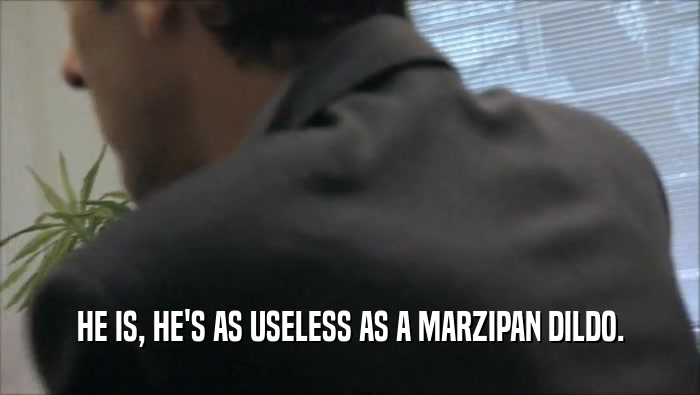 HE IS, HE'S AS USELESS AS A MARZIPAN DILDO.  