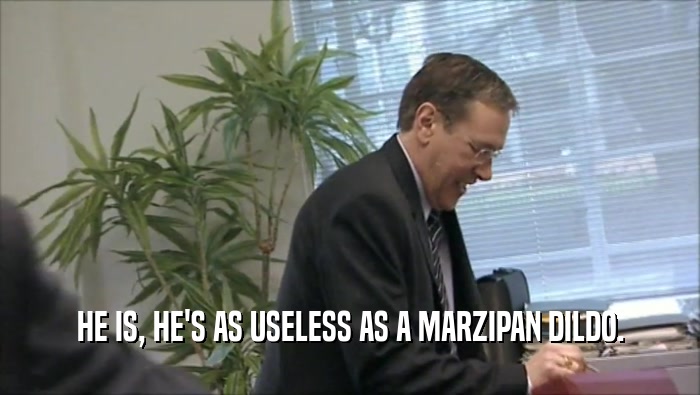 HE IS, HE'S AS USELESS AS A MARZIPAN DILDO.  
