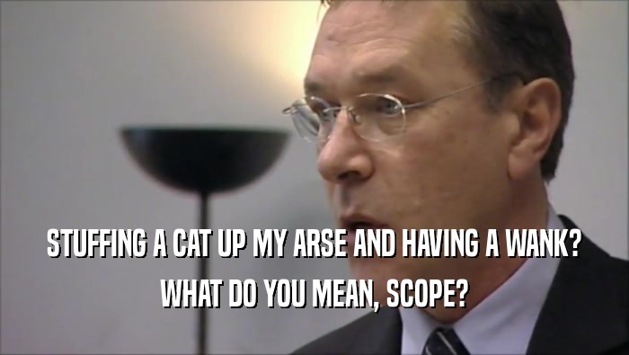 STUFFING A CAT UP MY ARSE AND HAVING A WANK? WHAT DO YOU MEAN, SCOPE? 